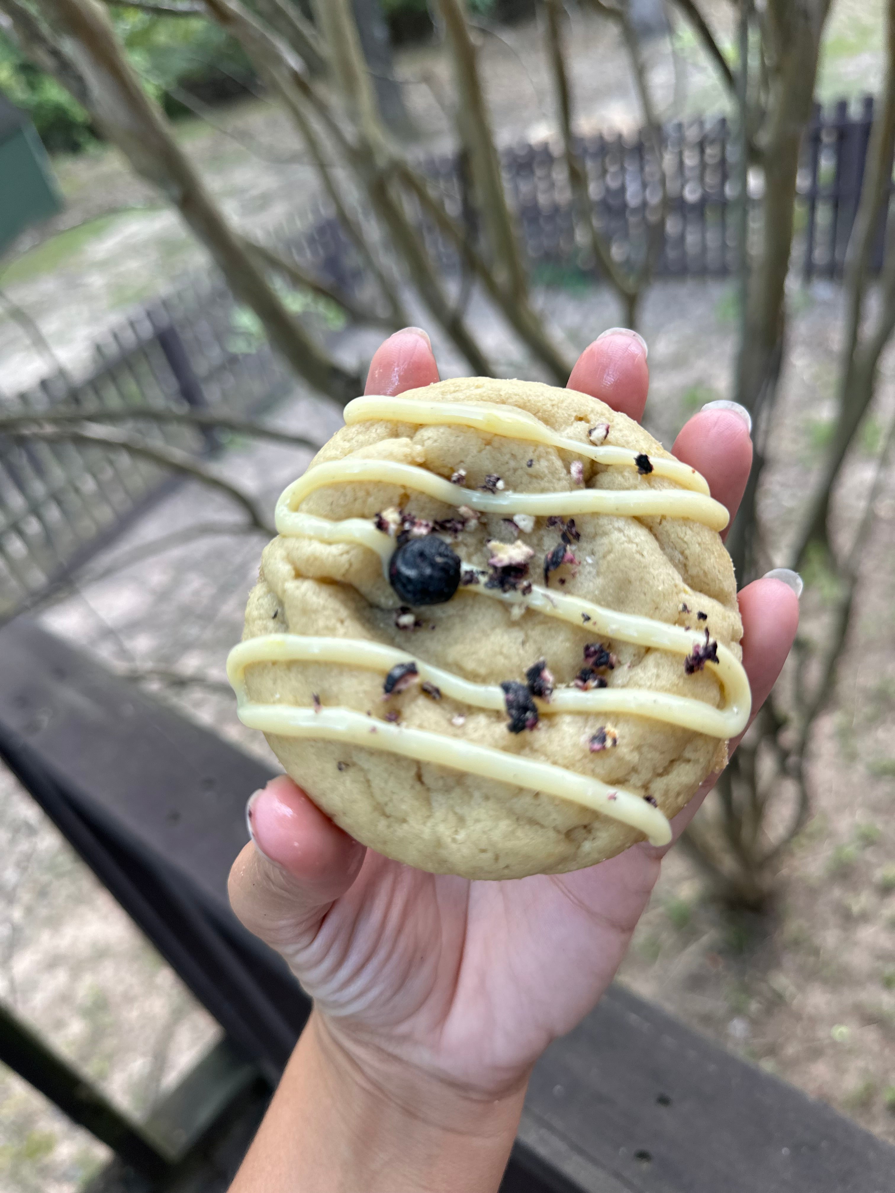 Blueberry Lemon