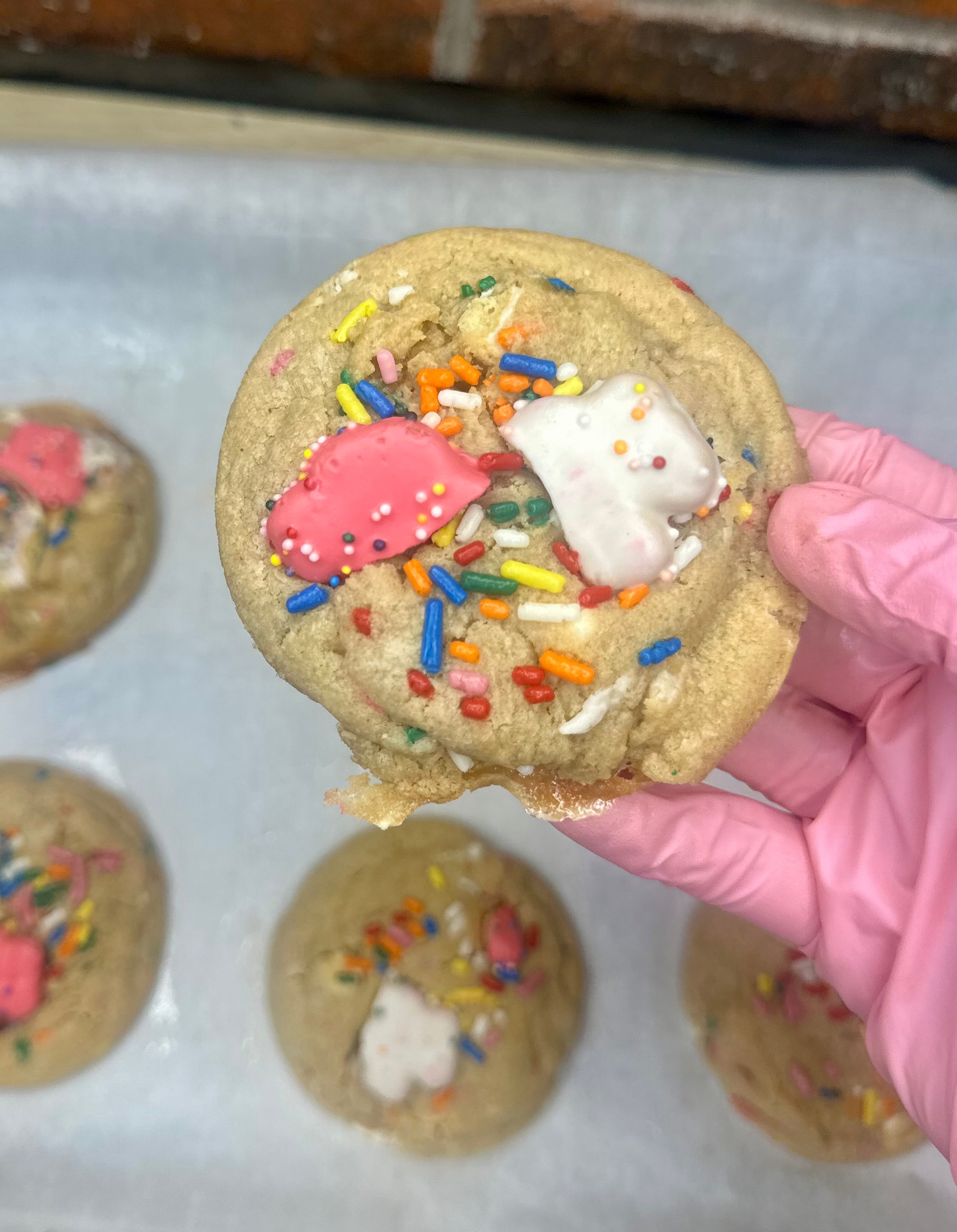 The Rowan (Frosted Circus Animal-Marshmallow)