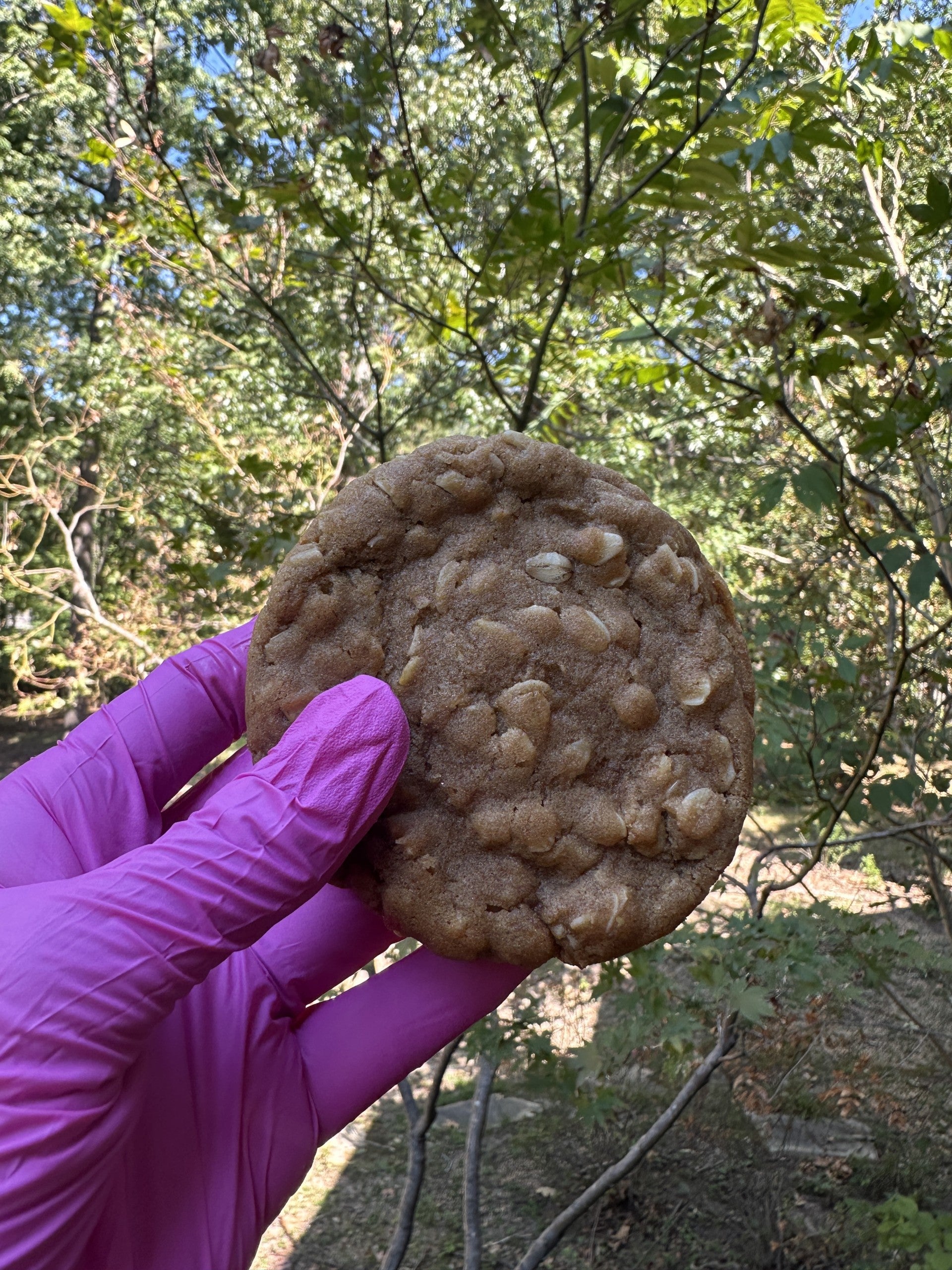 Oatmeal Cream Pie (Papaw Cookie)- Sold Separately!